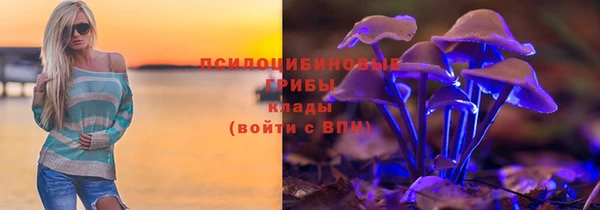 гидропоника Белокуриха