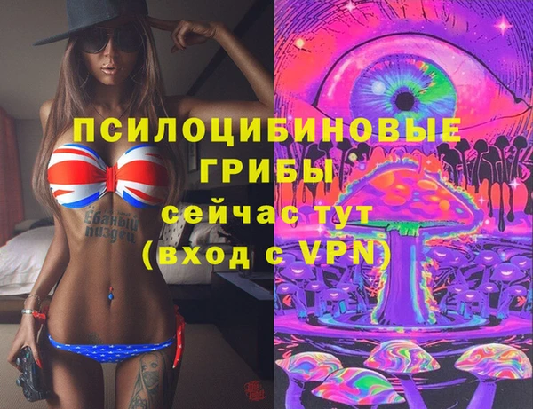гидропоника Белокуриха
